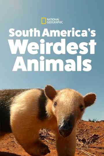South America's Weirdest Animals Poster