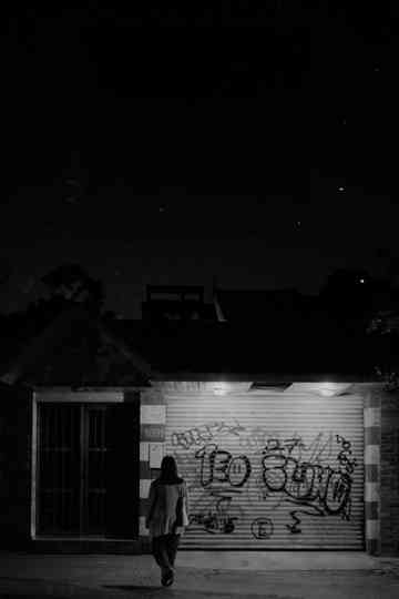 Birds sing at night Poster