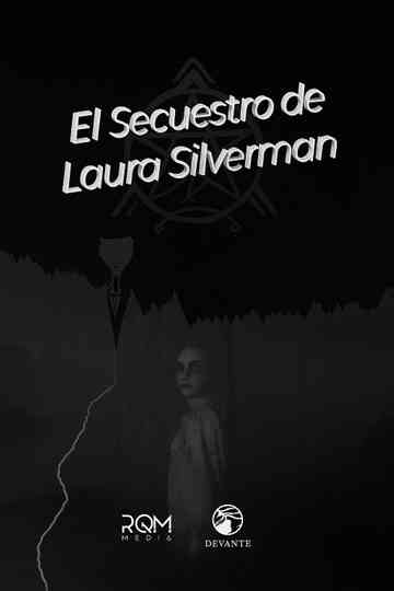 The kidnapping of Laura Silverman Poster