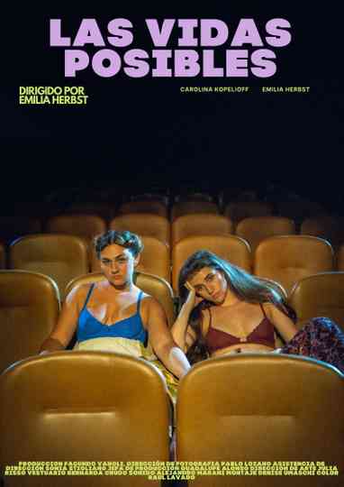 Las Vidas Posibles Poster
