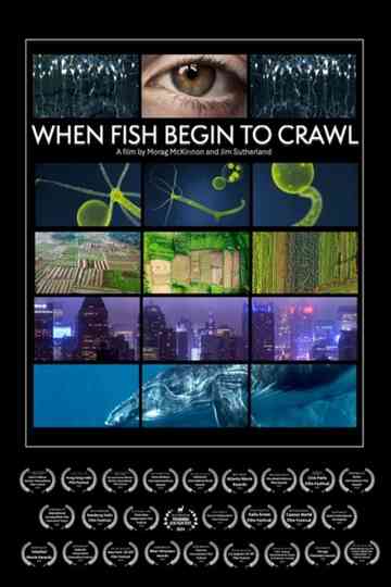 When Fish Begin to Crawl Poster