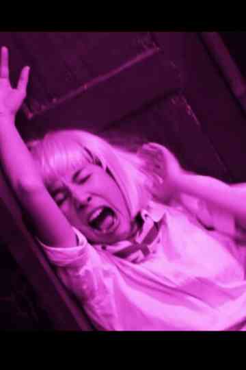 MADAM ANNA, NIPPLES, MACARON, PONYANGKAM, AND BASIC EDUCATION Poster