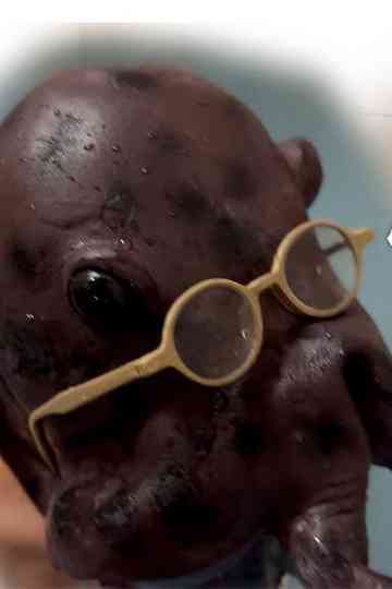 Nipple Hot Springs: The Octopus' Gratitude Poster