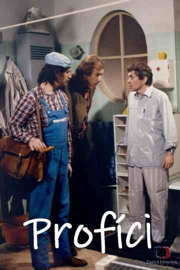 Profíci aneb Když nejsou lidi Poster