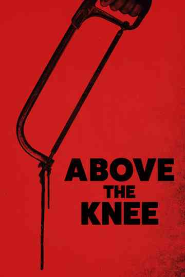Above the Knee Poster