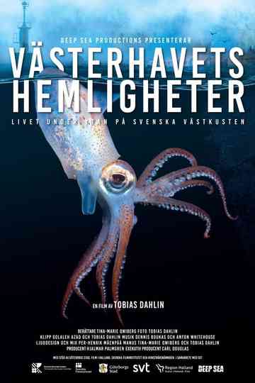 Västerhavets Hemligheter Poster