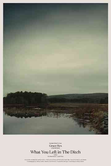 What You Left in the Ditch Poster
