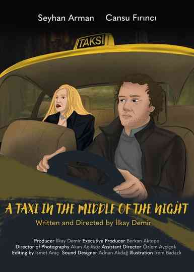A Taxi in the Middle of the Night Poster