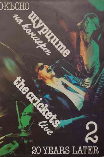 Shturtsite – 20 years later Poster