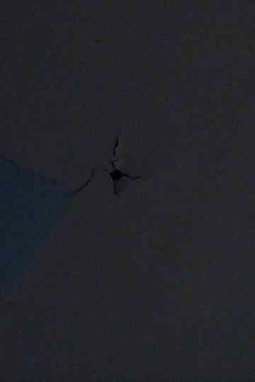 Bad Frequencies Poster