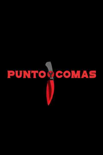 Punto y Comas Poster