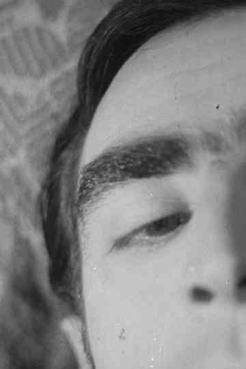 La metamorfosis poster