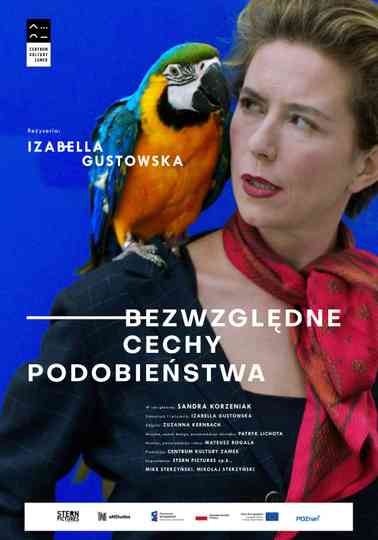 Absolute Similarities Poster