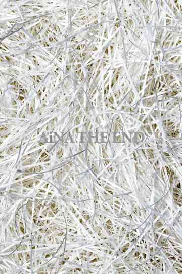 AiNA THE END: Kisou Honnou Poster