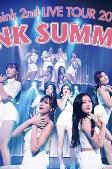 Apink 2nd LIVE TOUR 2016 -PINK SUMMER- Poster