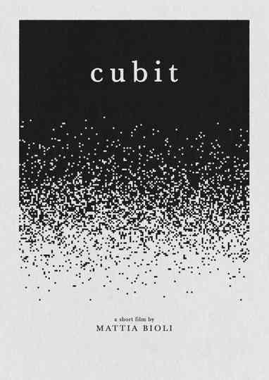Cubit Poster