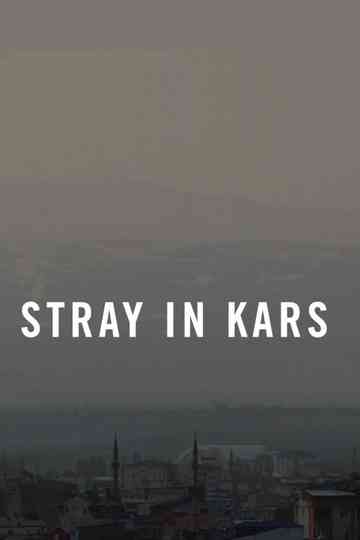 Stray in Kars Poster