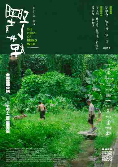 The Perks of Being Wild Poster