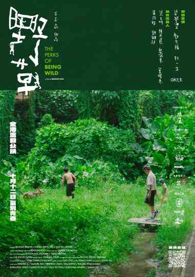 The Perks of Being Wild Poster