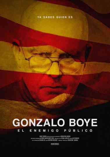 Gonzalo Boye, el enemigo público Poster