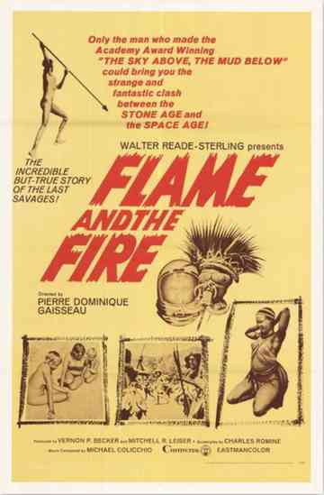 Flame and the Fire Poster