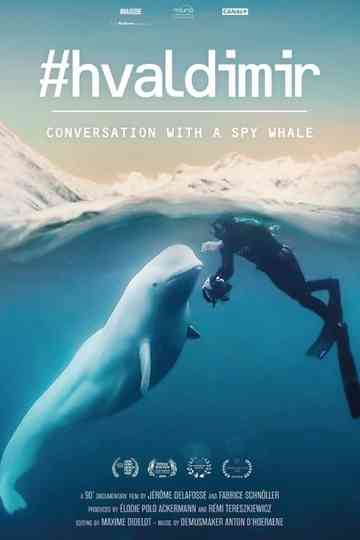 #Hvaldimir, Conversation With a Spy Whale Poster
