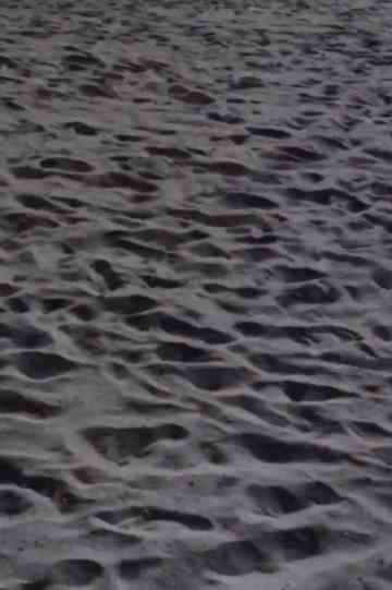 Street Film Part VIII Poster