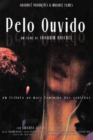 Pelo Ouvido Poster