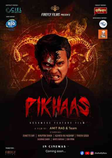 Pikhaas Poster