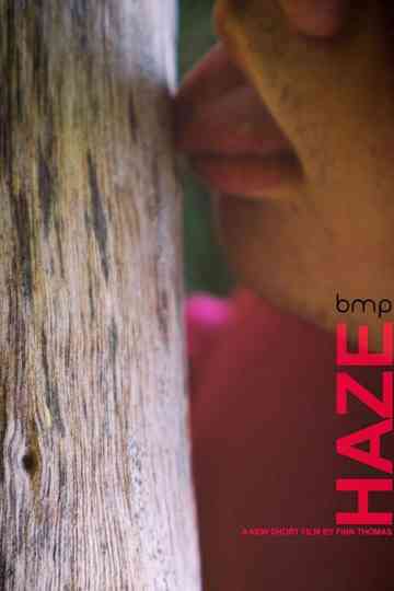 Haze Poster