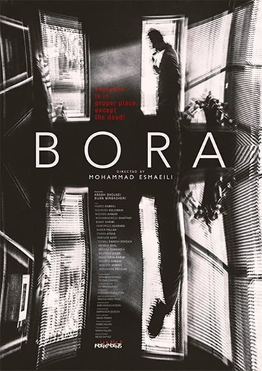 The Bora Poster