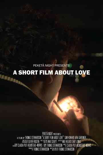 A Short Film About Love Poster