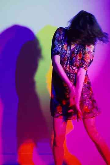 For the Birds Poster