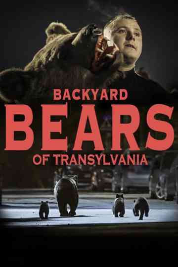 Backyard Bears of Transylvania Poster