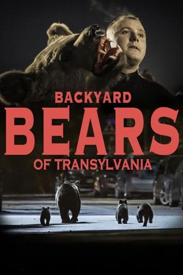 Backyard Bears of Transylvania