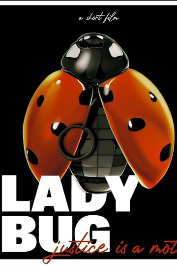 Ladybug Poster