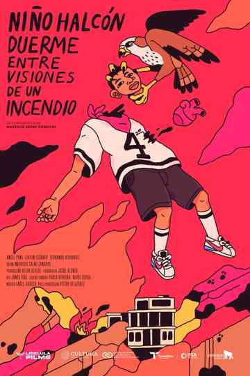 Hawk Boy Sleeps Amidst Visions of a Fire Poster