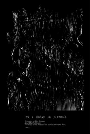 It's A Dream, I'm Sleeping Poster