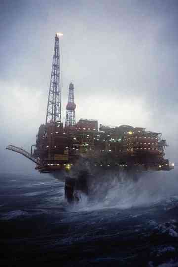 Wasted Windfall Poster