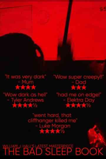 THE BAD SLEEP BOOK poster