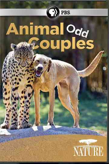 Animal Odd Couples Poster