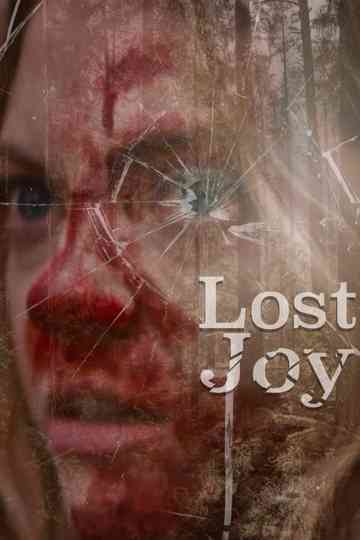 Lost Joy Poster