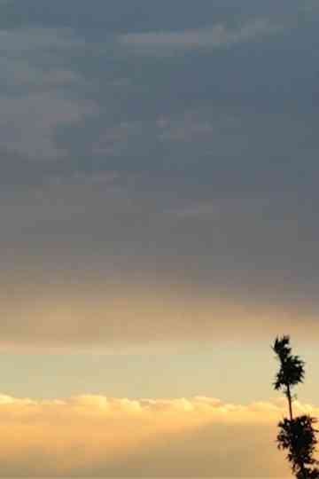 Marlene. El diablo sobre las colinas Poster