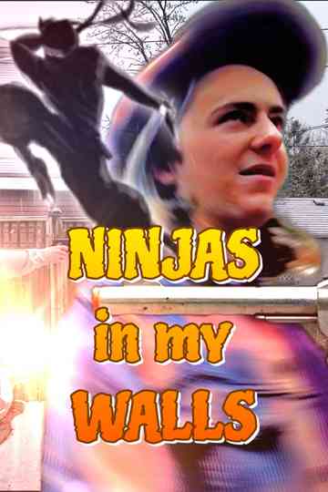Ninjas in my Walls Poster