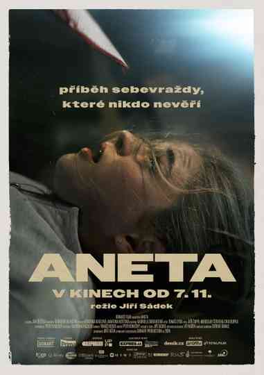 Aneta Poster