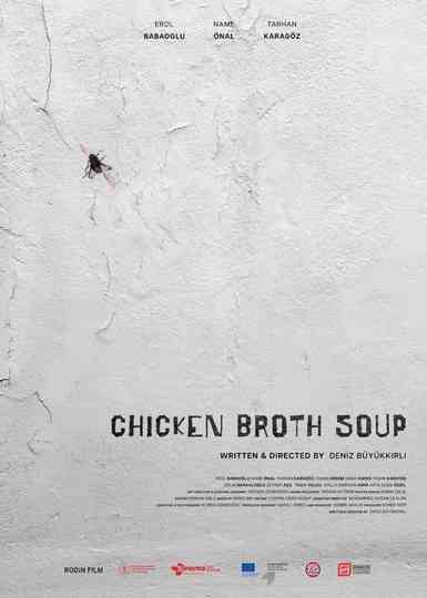 Chicken Broth Soup Poster