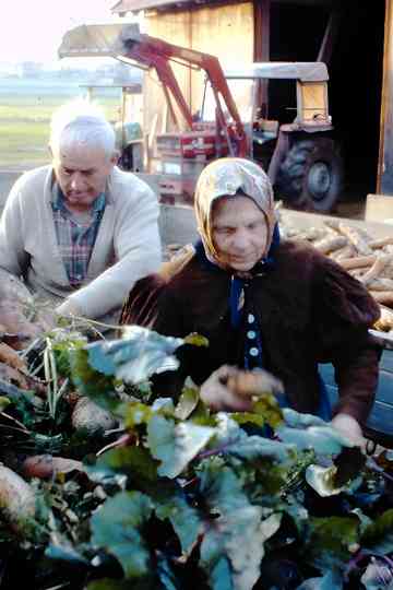 Drei Bauern unter einem Hut Poster