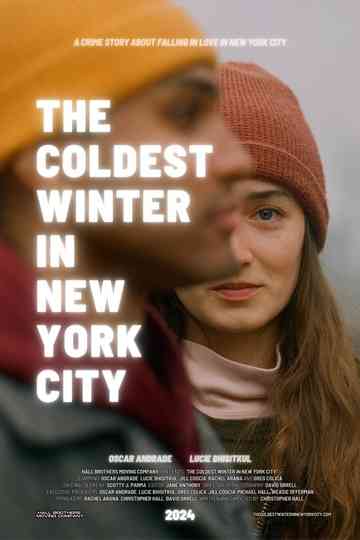 The Coldest Winter in New York City Poster
