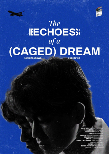 The (Echoes) of A Caged Dream Poster