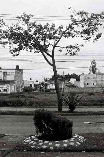 significantes, tres de cinco Poster